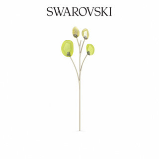 SWAROVSKI 施華洛世奇 Garden Tales—尤加利|