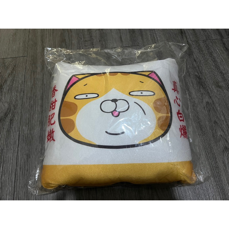 （現貨）白爛貓 麻糬爸 臭跩貓 兩用枕 抱枕 靠枕 沙發枕 產地直銷款