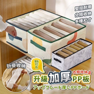 🌟桃園秒出貨🌟升級拉鍊PP板 衣櫃分格收納袋 內衣內褲襪子收納盒 分隔收納盒 衣櫥收納 衣物收納 居家生活