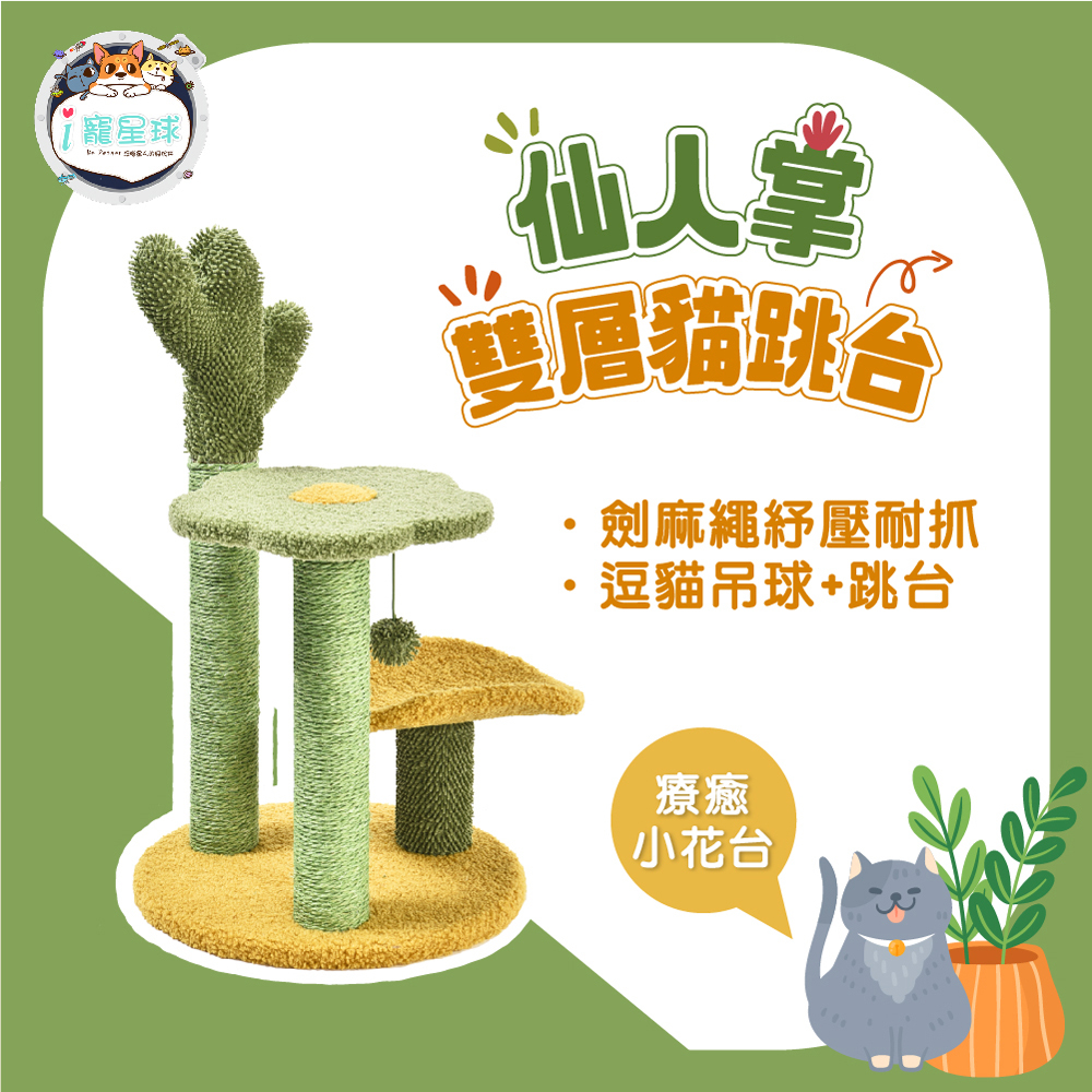 【下單送逗貓棒 ! !  獨家斑尼菲貓跳台】仙人掌雙層貓跳台 貓玩具 寵物用品 貓用品 貓玩具 貓抓板 貓跳台