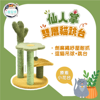 【下單送逗貓棒 ! ! 獨家斑尼菲貓跳台】仙人掌雙層貓跳台 貓玩具 寵物用品 貓用品 貓玩具 貓抓板 貓跳台