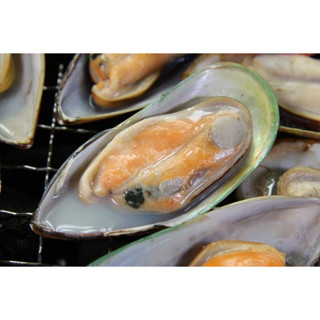 【中秋烤肉系列 】紐西蘭半殼淡菜 / (12~13個)/孔雀蛤約400g±5%分享包