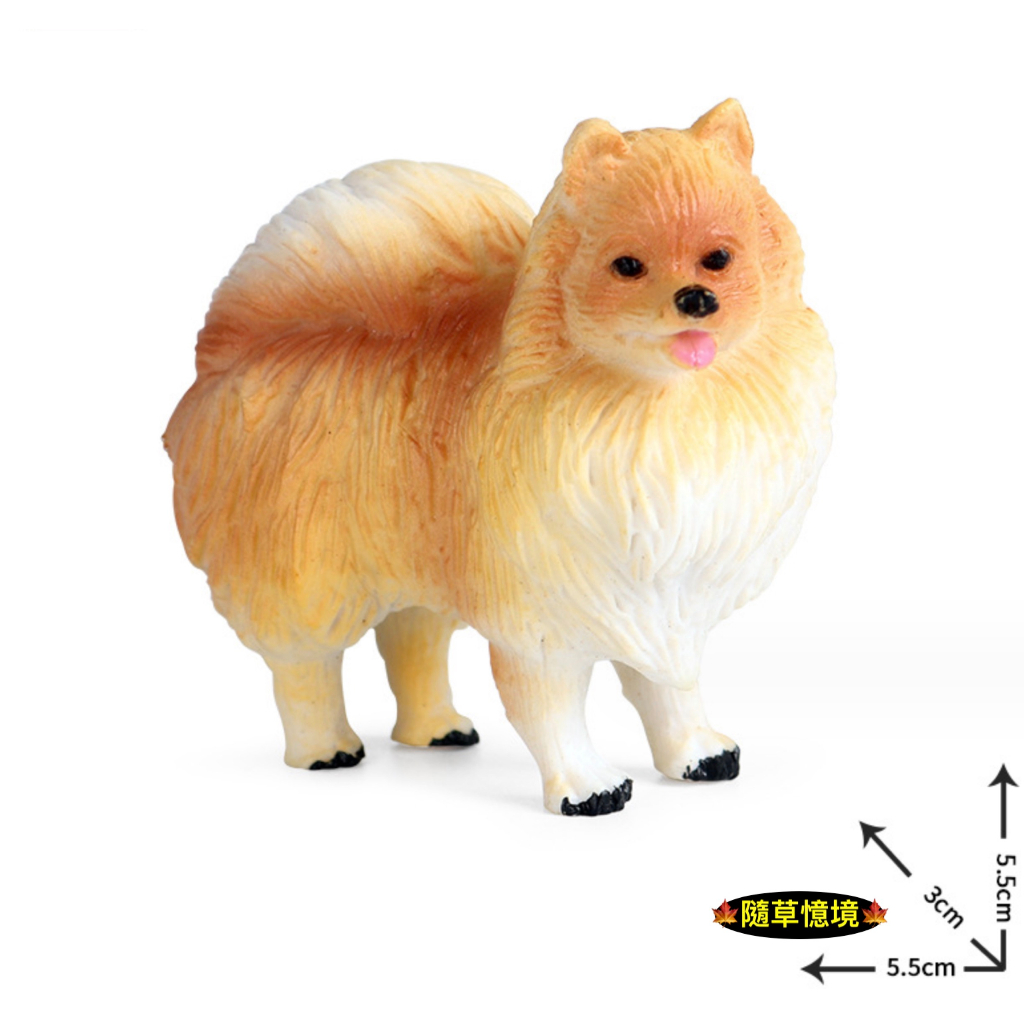 （高品質畫工）仿真 博美犬 小狗 博美 犬模型 寵物 狗狗 動物模型 野生動物 兒童玩具 益智 公仔 SPG