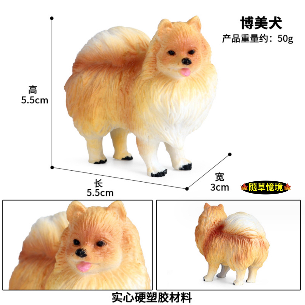 🍁（高品質畫工）仿真 博美犬 小狗 博美 犬模型 寵物 狗狗 動物模型 野生動物 兒童玩具 益智 公仔 SPG 隨草憶境