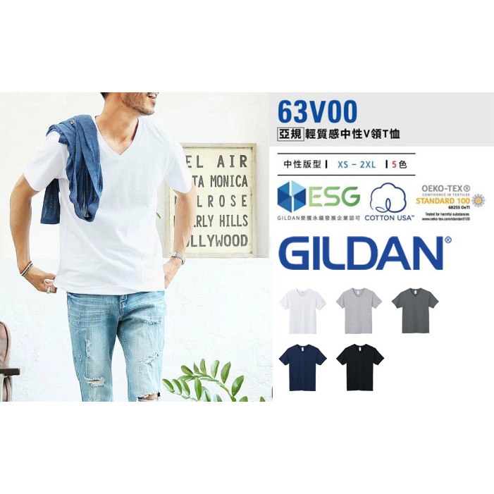優惠下殺 現貨原廠正品 GILDAN 吉爾登 亞版 63V00系列 短袖 素色 V領 素T T恤 輕質款