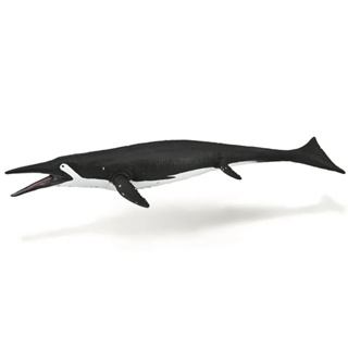 COLLECTA動物模型 - 薩斯特魚龍