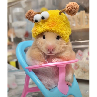 倉鼠用品 趣味 玩具 傢俱 嬰兒床 學步椅 兒童餐椅