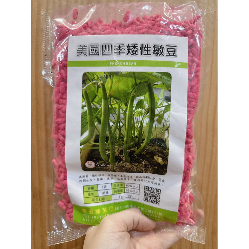 城禾農產🍃 美國四季矮性四季豆種子 8克 約35粒 無藤蔓 矮性四季豆種子 美國矮性青莢敏豆種子 四季豆種子 敏豆種子