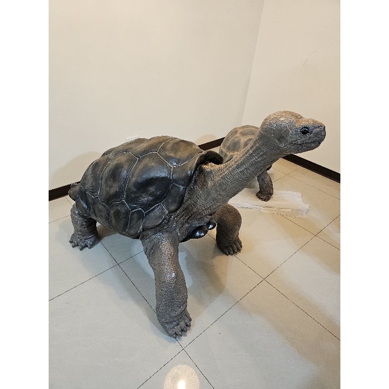 【家有家龜】加拉巴哥 孤獨的喬治 1:1模型 超巨大 非亞達伯拉 非蘇卡達 非安哥洛卡 象龜 接受預訂 送2隻模型 含運