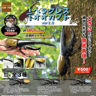 ❖貓大爺玩具❖現貨 SO-TA 1比1赫克力士大兜蟲 P2 轉蛋 扭蛋 全3款 甲蟲 獨角仙 大兜蟲 鍬形蟲