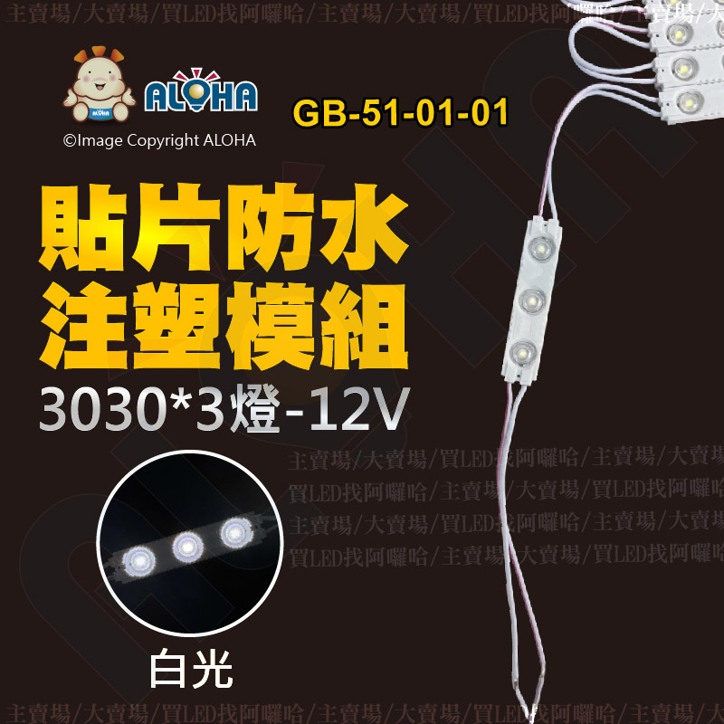 阿囉哈LED總匯_GB-51-01-01_3030-白光-12V-3燈貼片防水注塑模組-帶透鏡-台灣現貨快速出