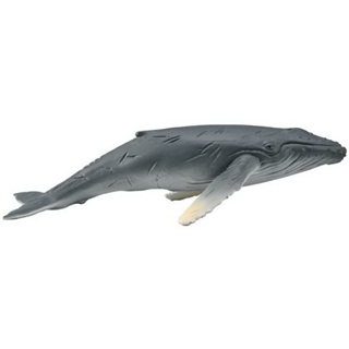 COLLECTA動物模型 -幼座頭鯨