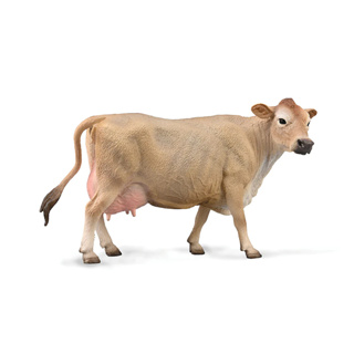 COLLECTA動物模型 - 娟珊母牛