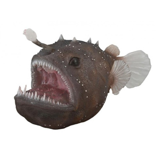 COLLECTA動物模型 - 安康魚