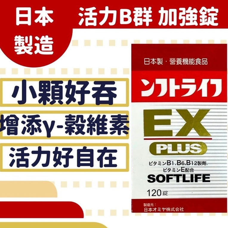 【現貨】 日本活力B群 EX PLUS加強錠120錠 維生素B群 小顆好吞 強效B群 日本原裝進口 go