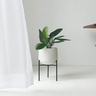 【日本KINTO】PLANT POT 211 附架陶瓷花盆16cm-共4款《泡泡生活》 花器 園藝