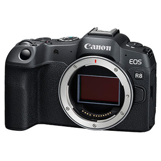 CANON LP-E17 原電