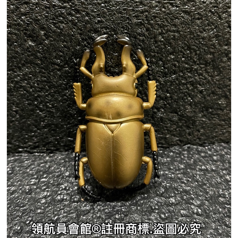 【領航員會館】單售 黃金鬼鍬 鍬型蟲 日本KOROKORO甲蟲王者20週年昆蟲公仔 扭蛋 模型玩具標本 獨角仙 方甲蟲