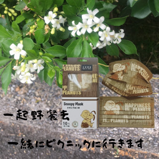 🇹🇼碩湛-💖史努比 查理·布朗🎉支撐型口罩買3送1 🎉7-11同款正版雷射標籤口罩🎉滿版定位 snoopy 查理 現貨