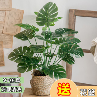 附發票 仿真花 北歐模擬龜背葉仿真植物綠色 龜背竽 植物盆栽 仿真花商業擺飾假花 模擬 綠化植物 創意家居ins風小盆栽