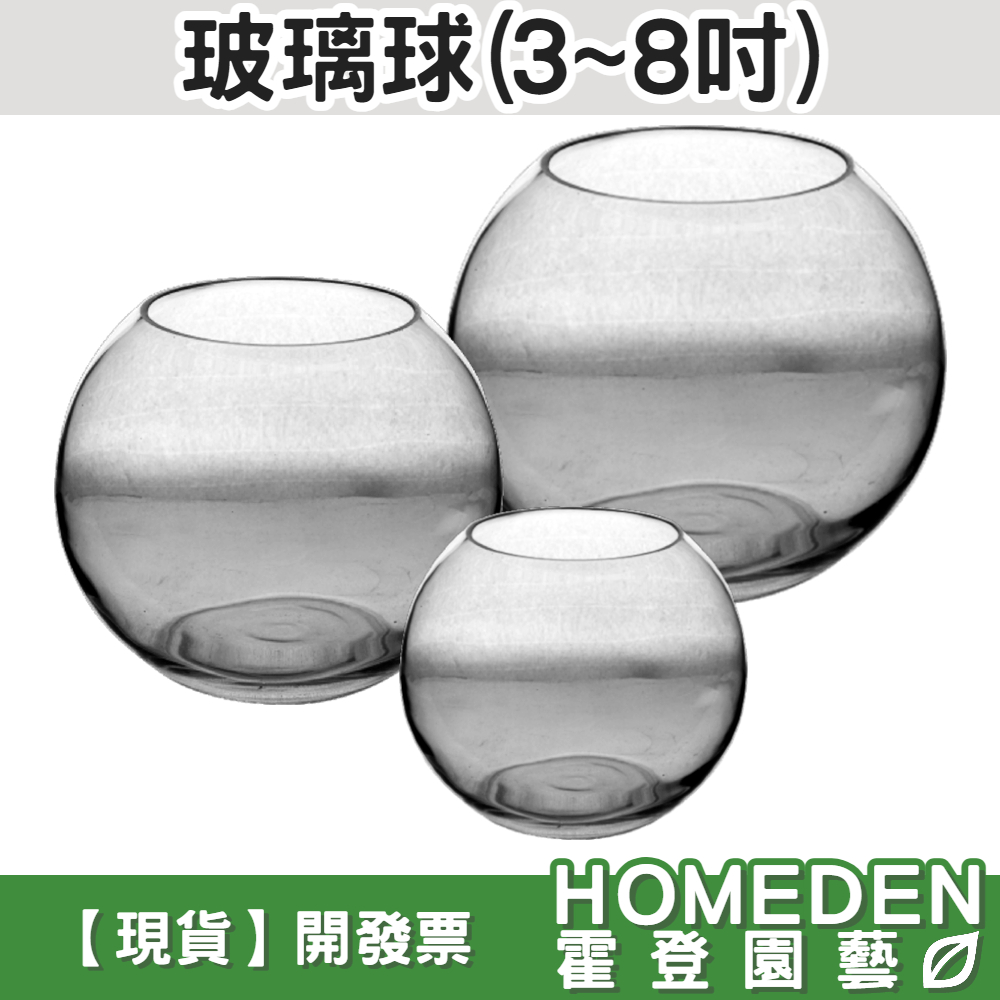 【台灣現貨】玻璃球 3~8吋 玻璃圓球 生態缸 生態瓶 魚缸 多肉植物 水耕 魚菜共生 微景觀【HOMEDEN霍登園藝】