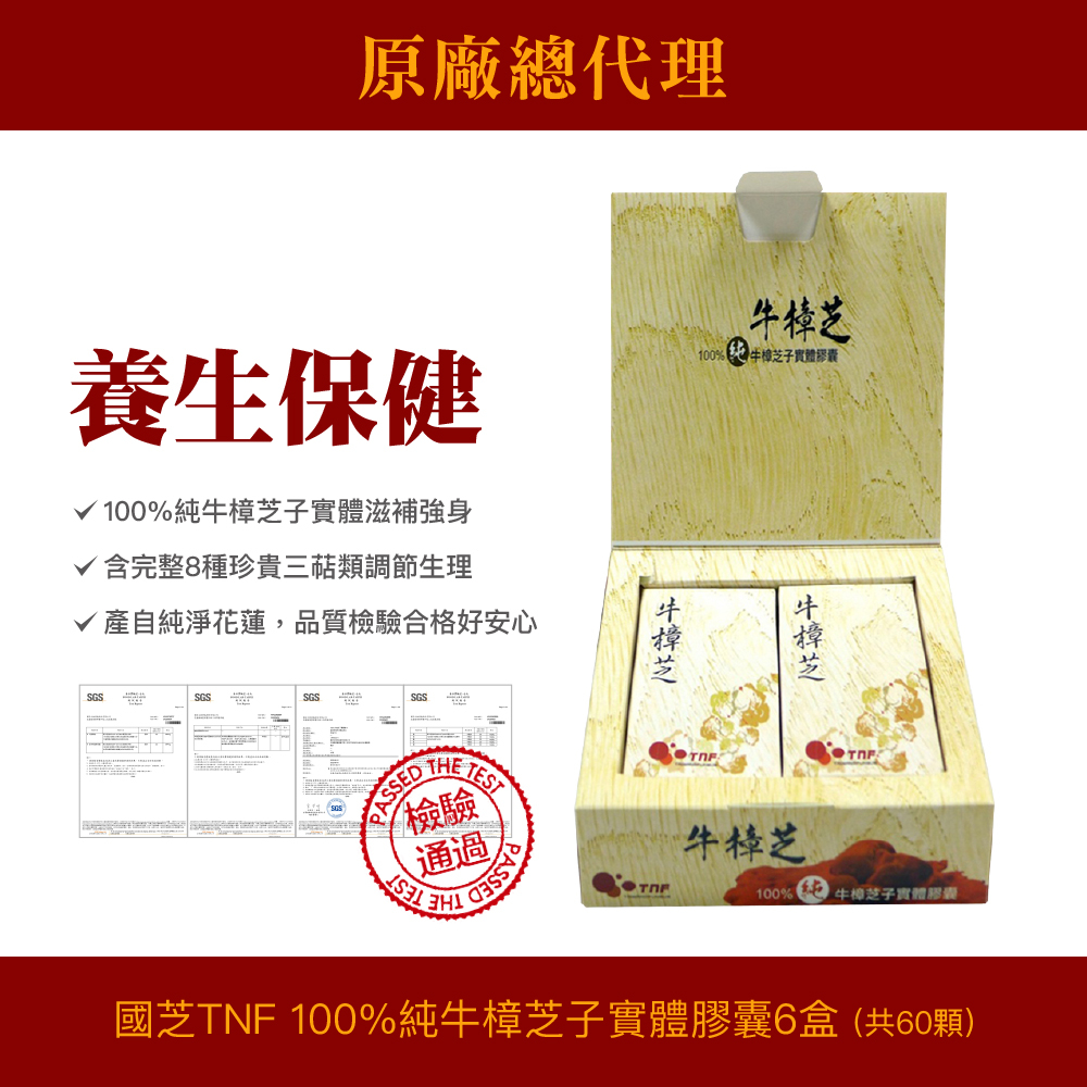 台灣 國芝100%純牛樟芝子實體膠囊 6盒組(10顆/盒)