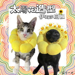 貓你一犬｜太陽花伊莉莎白圈 寵物用品 貓咪項圈 防舔 防咬 開刀 恥辱圈 結紮 生病 狗狗用品 狗項圈 臺灣現貨 快速出
