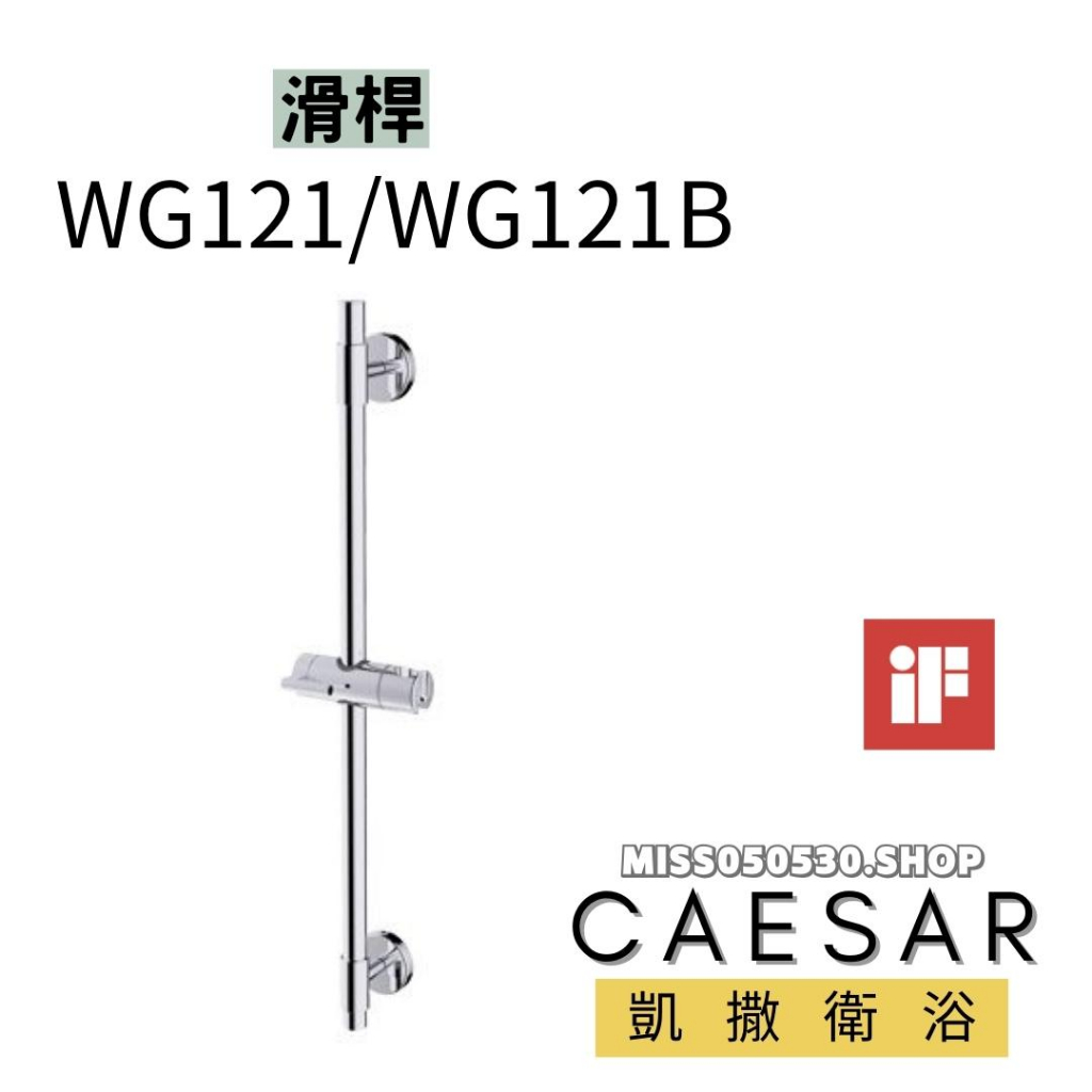 Caesar 凱撒衛浴 WG121 滑桿 可調整 SPA淋浴用 升降滑桿組 蓮蓬頭滑桿 不鏽鋼 滑桿 把手滑桿 把手掛鉤