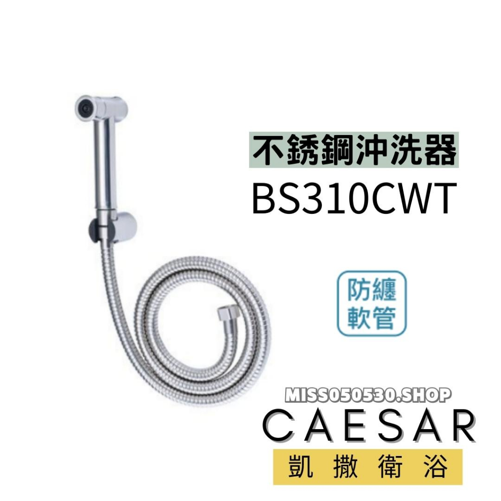 CAESAR 凱撒衛浴  不銹鋼沖洗器 沖洗器 BS310CWT 不銹鋼 浴室沖洗器 軟管1200MM