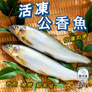 【鱻好美】鮮凍公香魚920g±5%/盒(8-10尾)