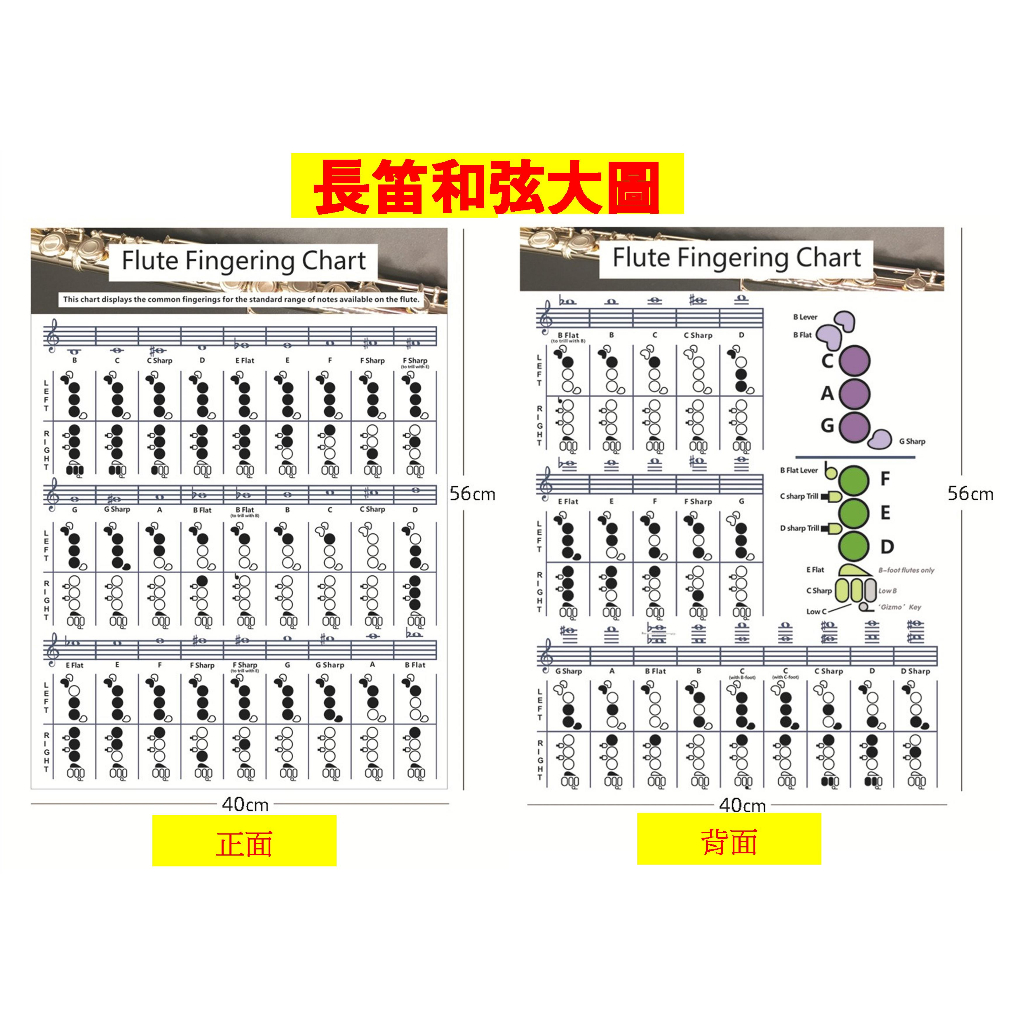 長笛和弦 長笛和弦指法圖 Flute Chord Chart 長笛指法 表指法練習圖