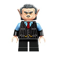[樂磚庫] LEGO 76417 哈利波特系列 人物 343969