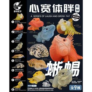 【MOVE】 (現貨) 動物星球 心寬體胖系列 第十六彈 蜥蜴 vol.1 鬣蜥 鬆獅 蜥蜴 模型 公仔 盒玩 玩具