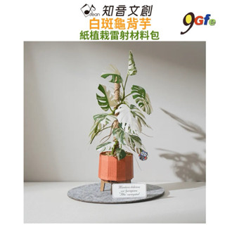 紙模型 紙植栽雷射材料包 白斑龜背芋 9028415 紙風景 手作 擺飾 紙模型紙雕 裝飾 DIY 壓克力 壓克力展示盒