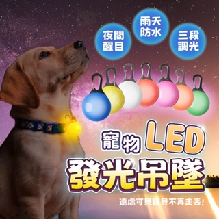 【仙人掌寵物用品】 LED寵物發光吊墜 LED墜飾 項圈吊飾 LED吊飾 寵物用品 項圈墜飾 寵物吊飾 項圈LED吊飾