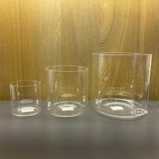 MR.AQUA 水族先生【微景觀生態瓶10cm 12cm 15cm 20cm】微景觀 苔蘚生態瓶 生態瓶 雨林 圓型缸