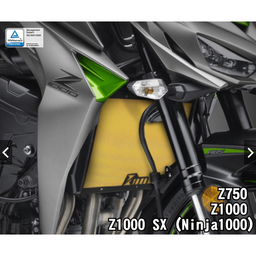 【WP MOTO】KAWASAKI Z1000 Z1000SX Z750 07-21 水箱護網 水網 散熱 DMV