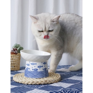 小魚紋保護頸椎貓食碗高腳陶碗 (斜口)