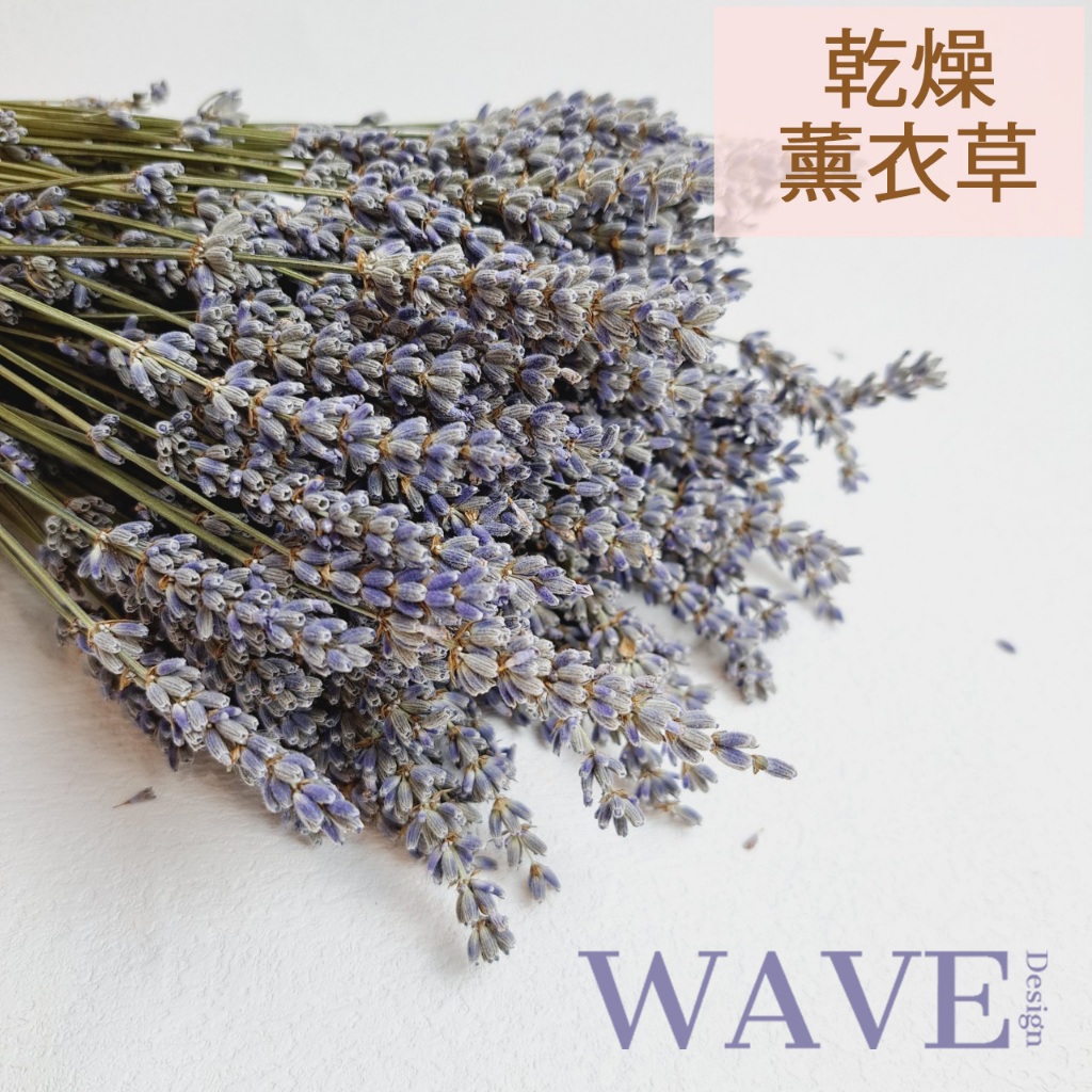 荷蘭進口《WAVE Design 》 乾燥薰衣草 乾燥花材 天然乾燥花 植物果實 花藝材料 拍照道具 永生花 DIY