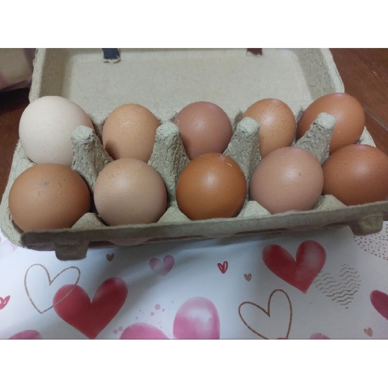新鮮雞蛋  土雞蛋  紅殼蛋  自產自銷  有機無毒 | 實際貨量請先聊聊