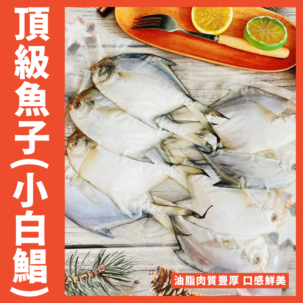 【鮮煮義美食街】魚子(小白鯧) 白鯧魚 /白鯧魚種 600克/真空包裝