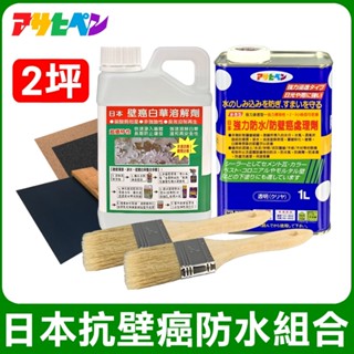 【十田修繕】抗壁癌防水組合包 2坪 壁癌 白華 乳膠漆 批土 防水 油漆 防水漆 發黴 防黴