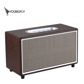 【Youngfly】耀飛頂規60W藍芽音箱(110V)