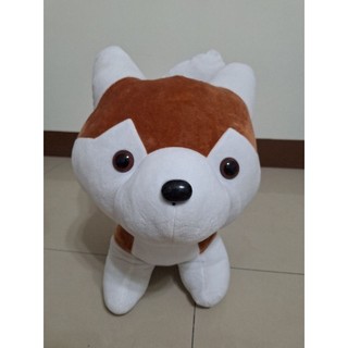 二手柴犬娃娃 dog doll