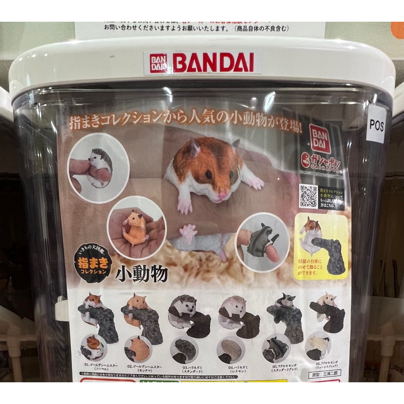 [日本全新帶回 稀少款］BANDAI 扭蛋 轉蛋 指尖上的小動物 蜜袋鼯 刺蝟 黃金鼠