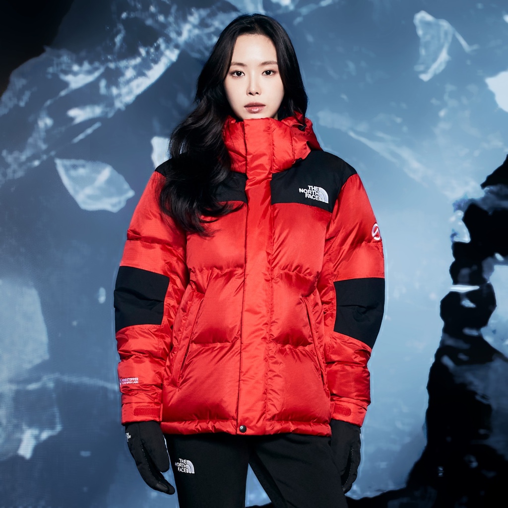 ☆Baro☆韓版 The North Face 23FW SUMMIT PRO DOWN JACKET