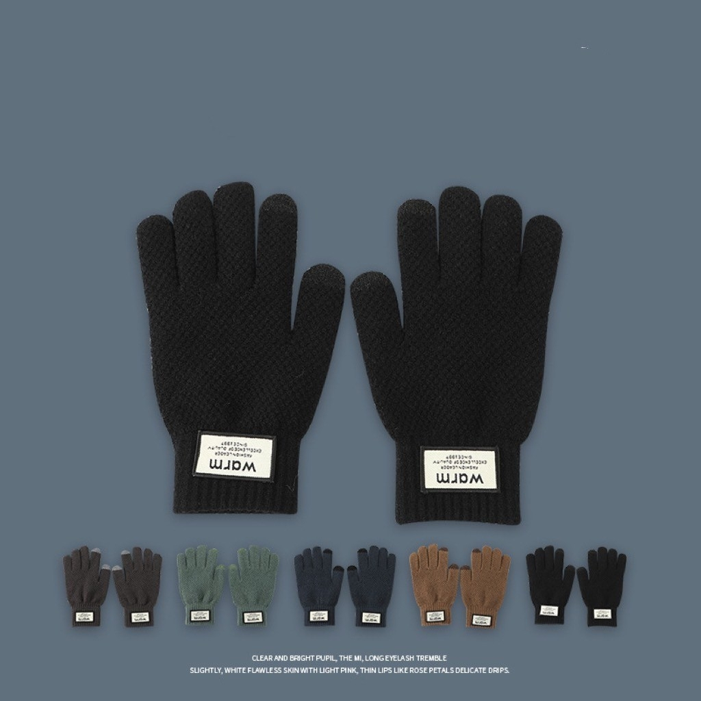 【自己人】可觸屏  保暖 加絨 騎車防寒 男女均碼 冬天  手套 (CM163)