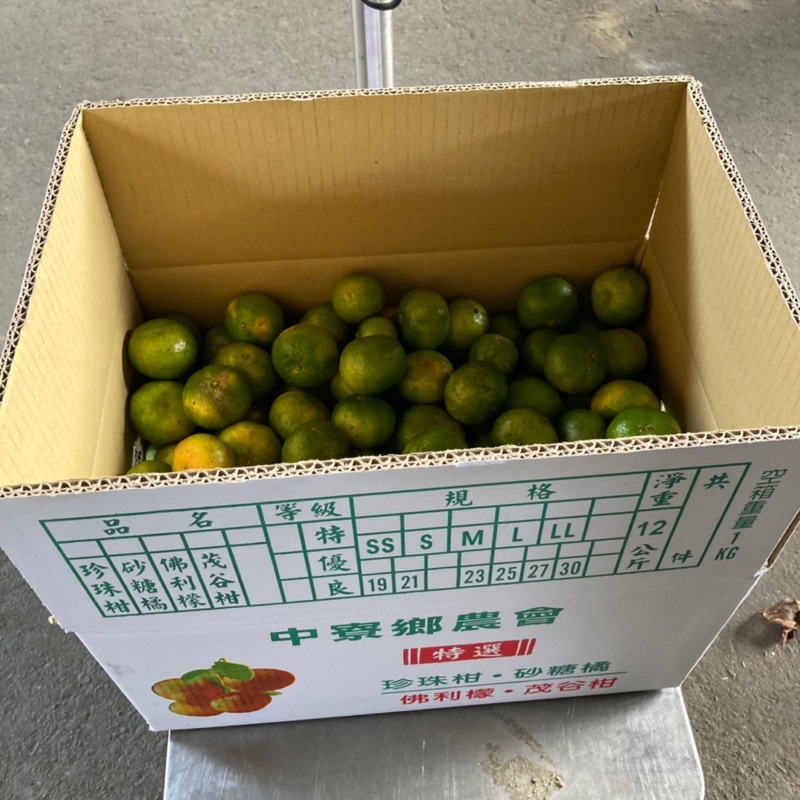 《2023》 即將售完🍊珍珠橘 20斤 每天採收 季節限定 珍珠柑 中寮特產 數量有限 售完為止