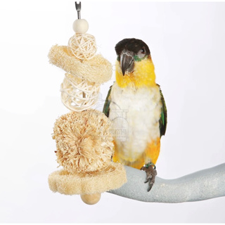 《 嘟嘟鳥寵物 》AVIAN WORLD 關東煮串串 鸚鵡玩具 鳥玩具
