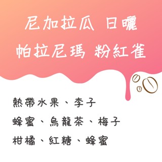 尼加拉瓜 帕拉尼瑪 粉紅雀 日曬 咖啡豆【豆箱咖啡】